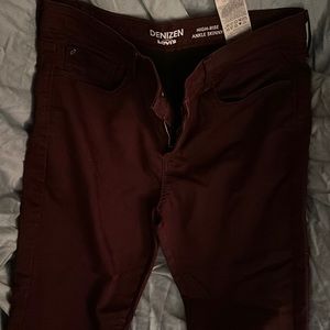 Cranberry Levi denizen jeans.  Size 14